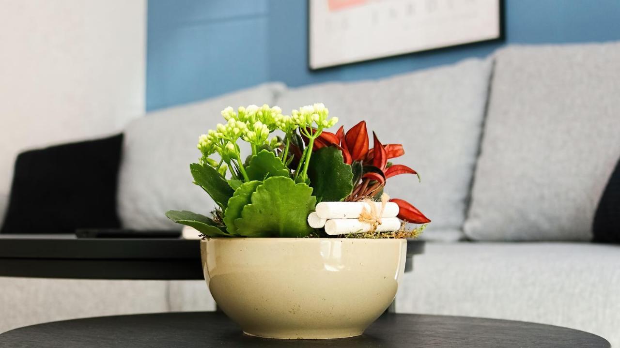 Lightplace • Design • Boxspring • Balkon • 2 Smart Tv •innenstadt Apartment *